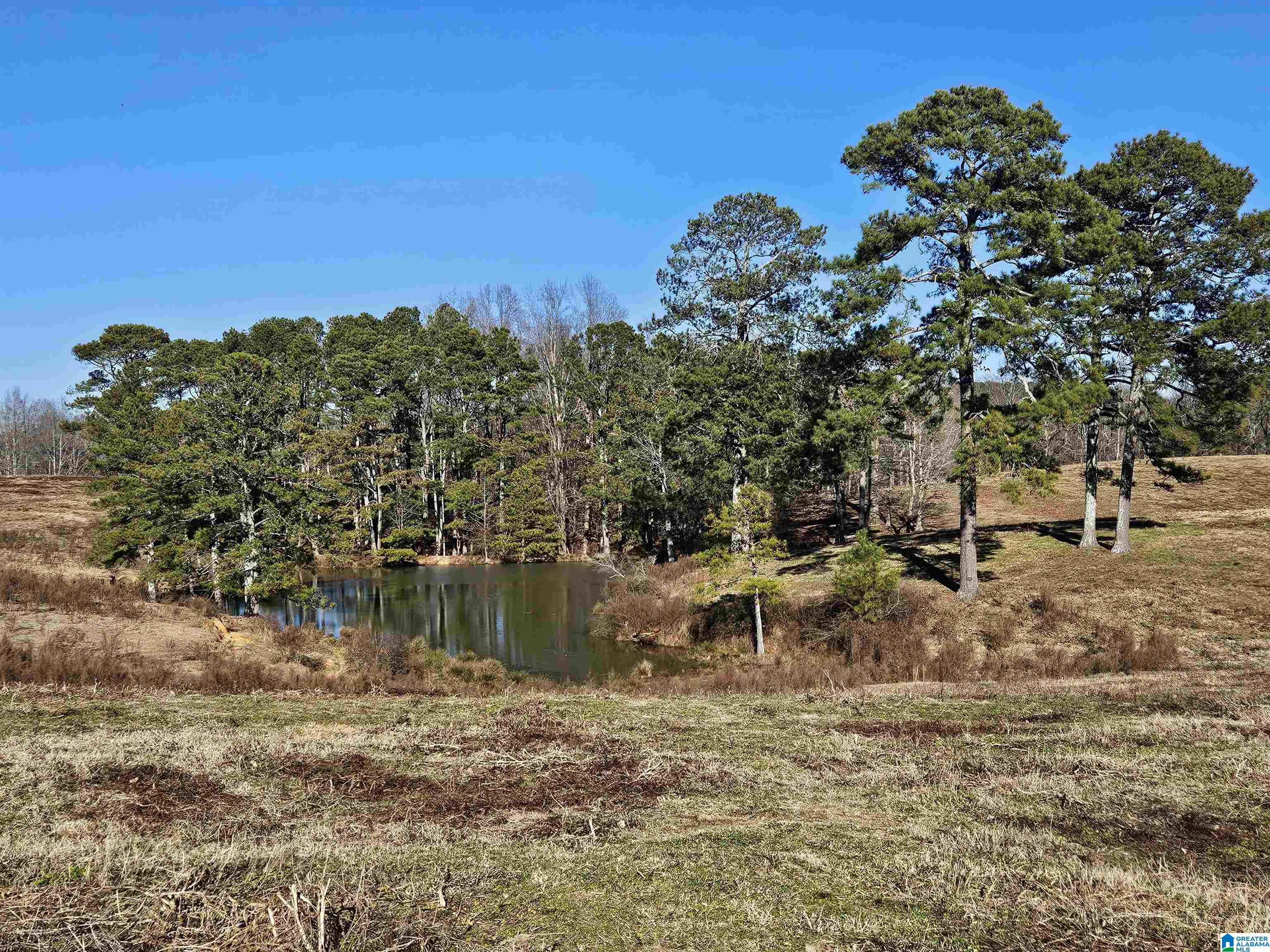 682 County Road 832 Logan, AL 35098 - Photo 40 of 48