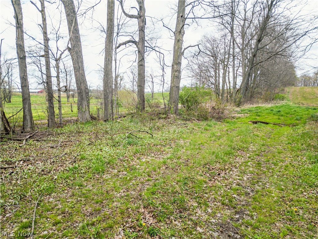 Steiner Road Sterling, OH 44276 - Photo 13 of 22