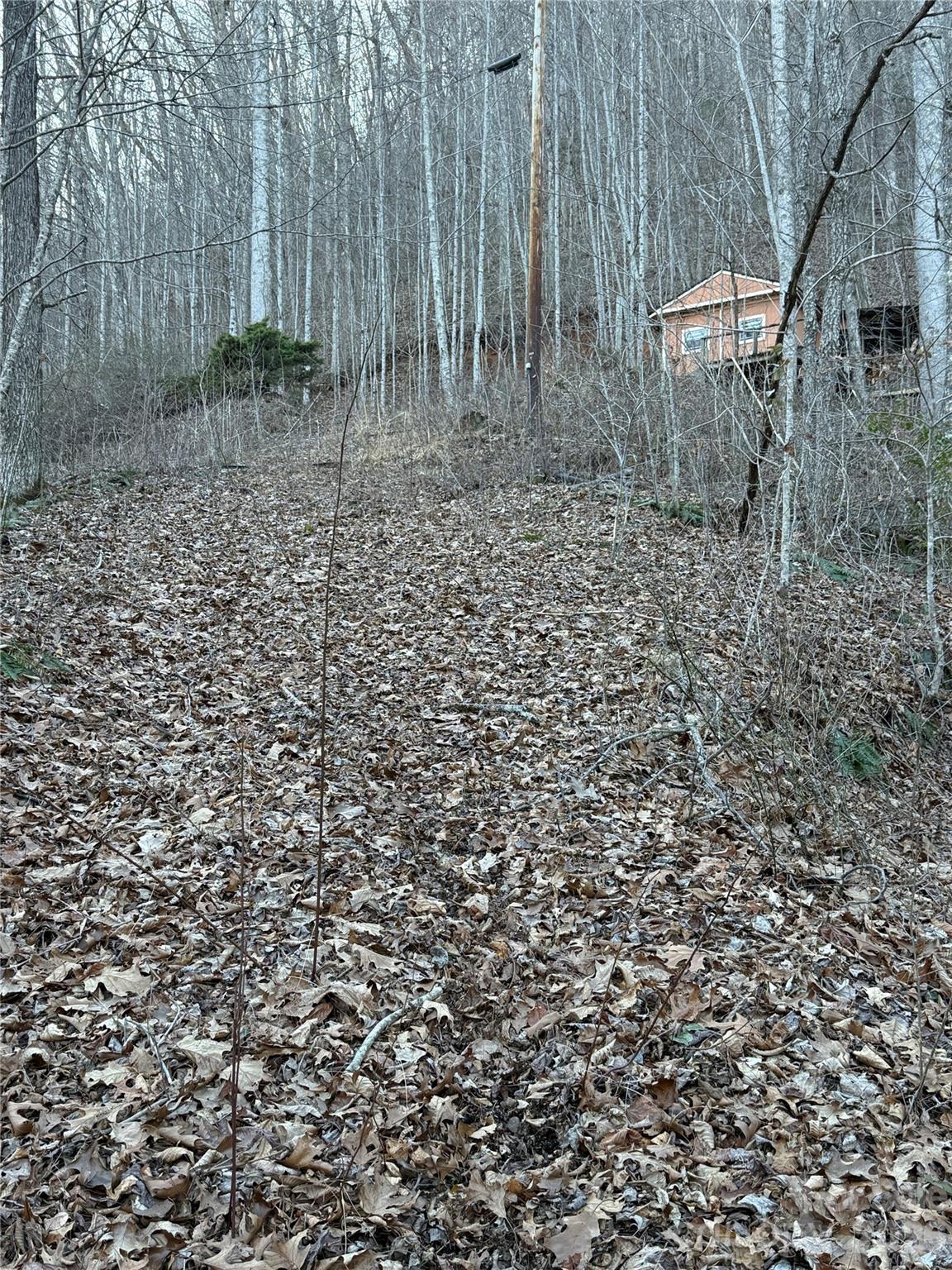 65 Savannah View Lane Sylva, NC 28779 - Photo 2 of 10 a view of a yard with plants and trees