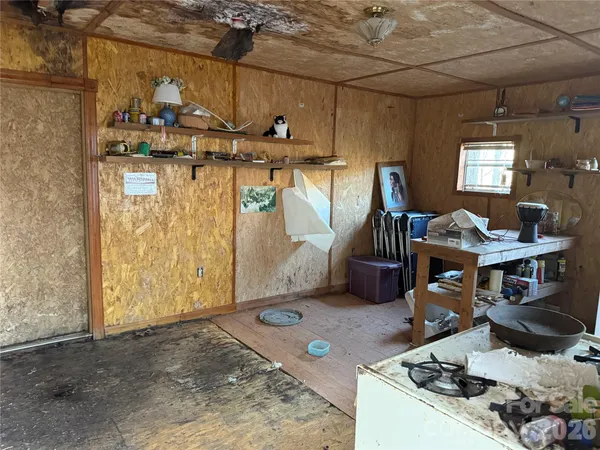 a view of a backyard