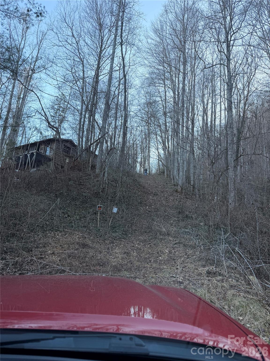 65 Savannah View Lane Sylva, NC 28779 - Photo 10 of 10 a view of yard with tree in the background