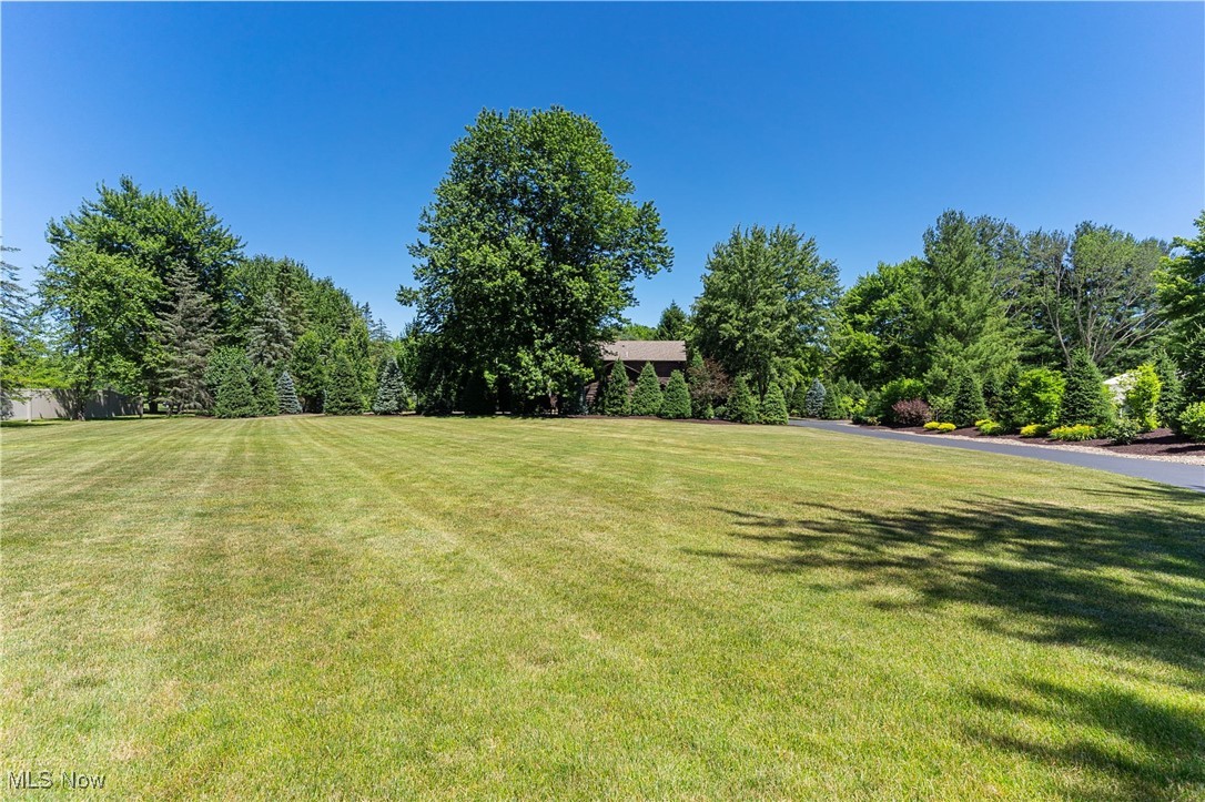 10295 Wagner Road North Benton, OH 44449 - Photo 30 of 45 large open space with extensive plantings surrounding the property