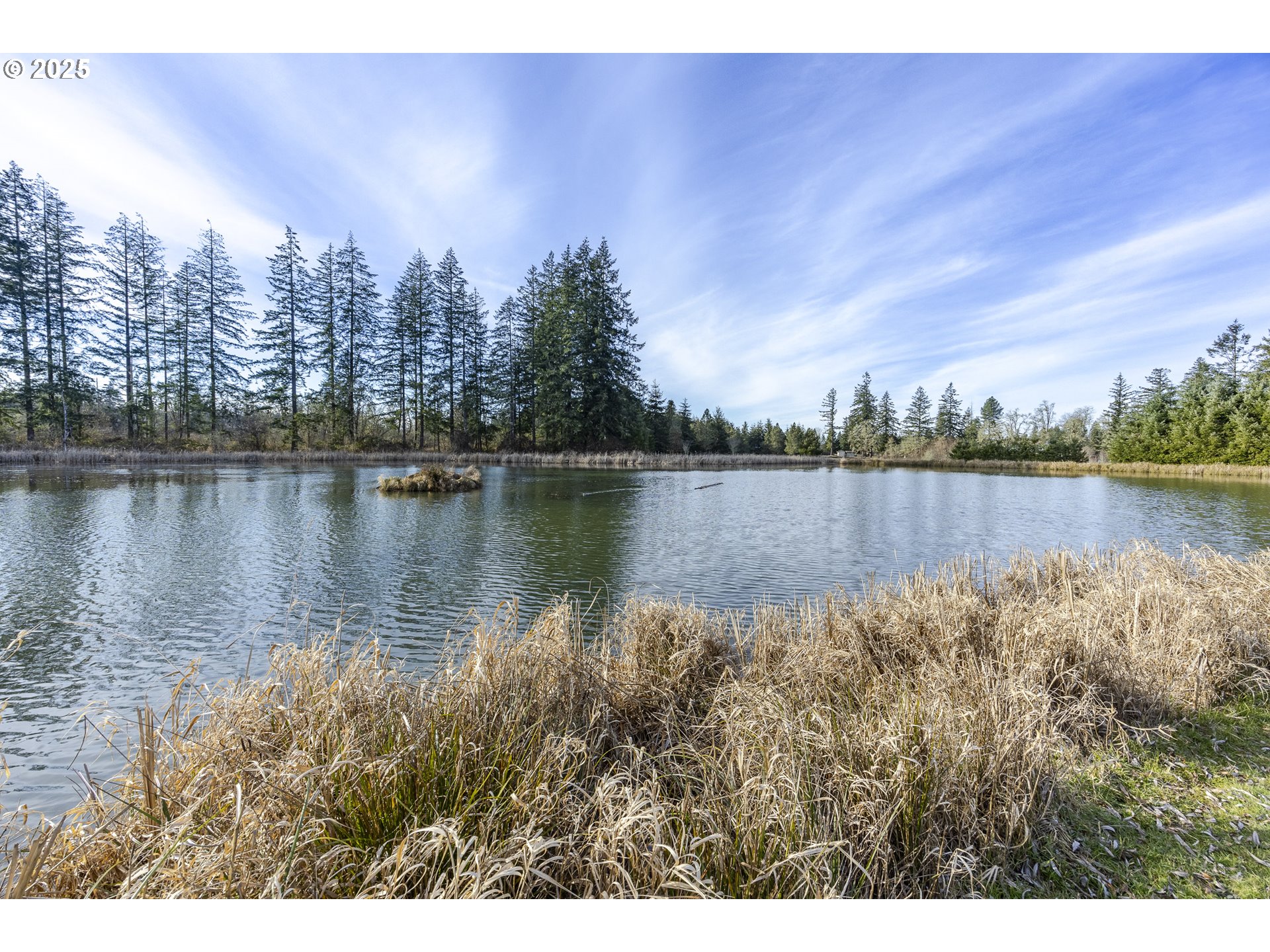 86986 Central Road Veneta, OR 97487 - Photo 41 of 48 Gallery Image 41