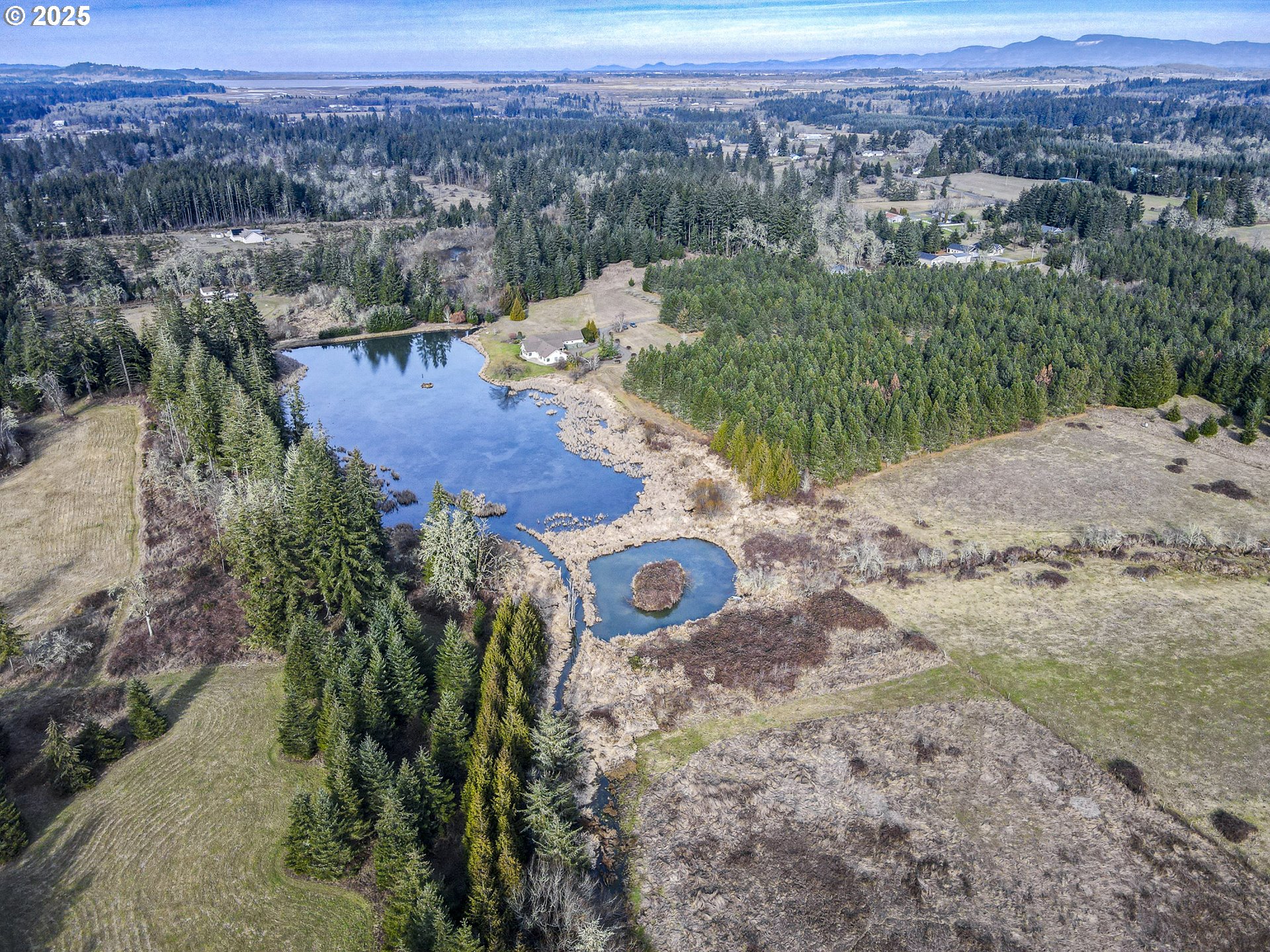 86986 Central Road Veneta, OR 97487 - Photo 47 of 48 Gallery Image 47