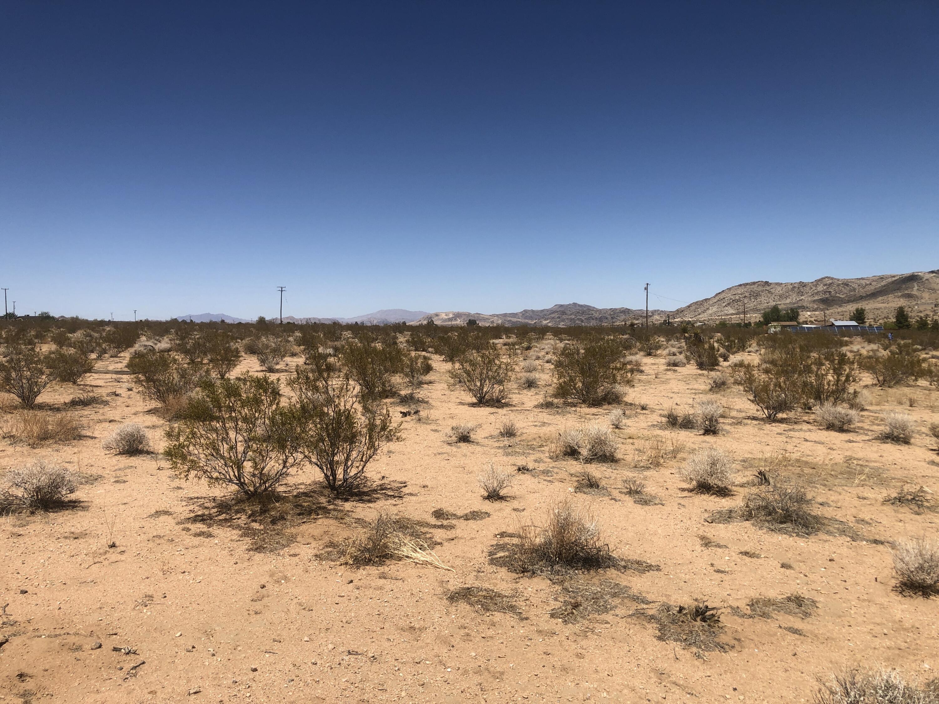 0 Lilac Lane Landers, CA 92285 - Photo 12 of 16 IMG_0447