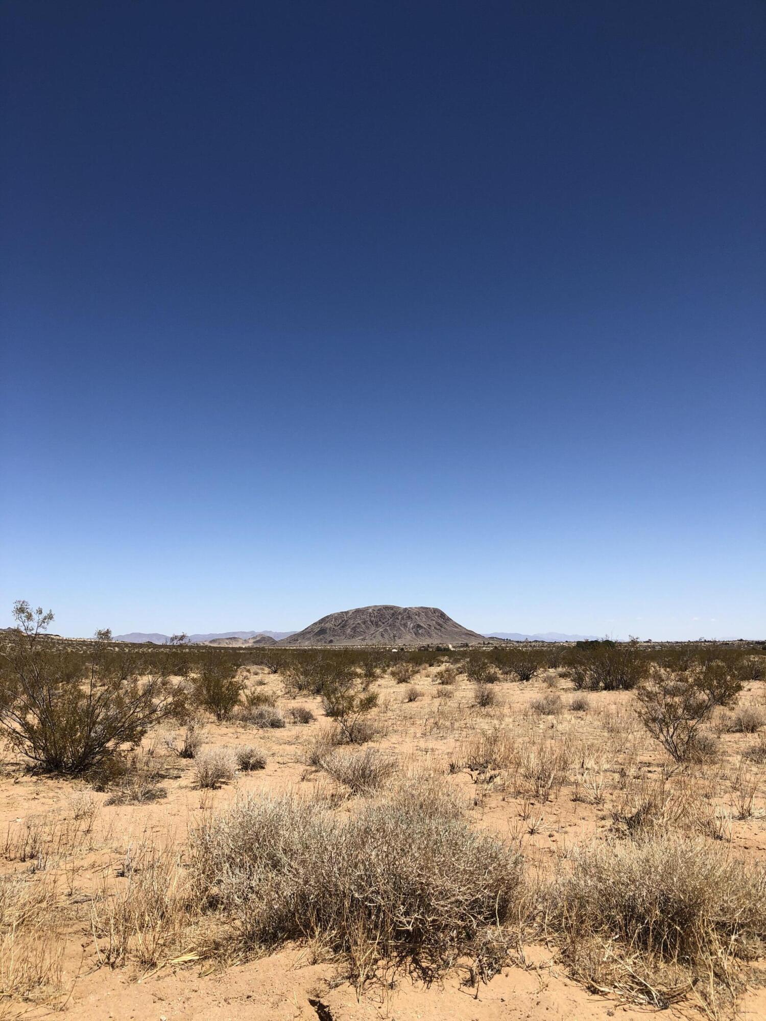 0 Lilac Lane Landers, CA 92285 - Photo 4 of 16 IMG_6754