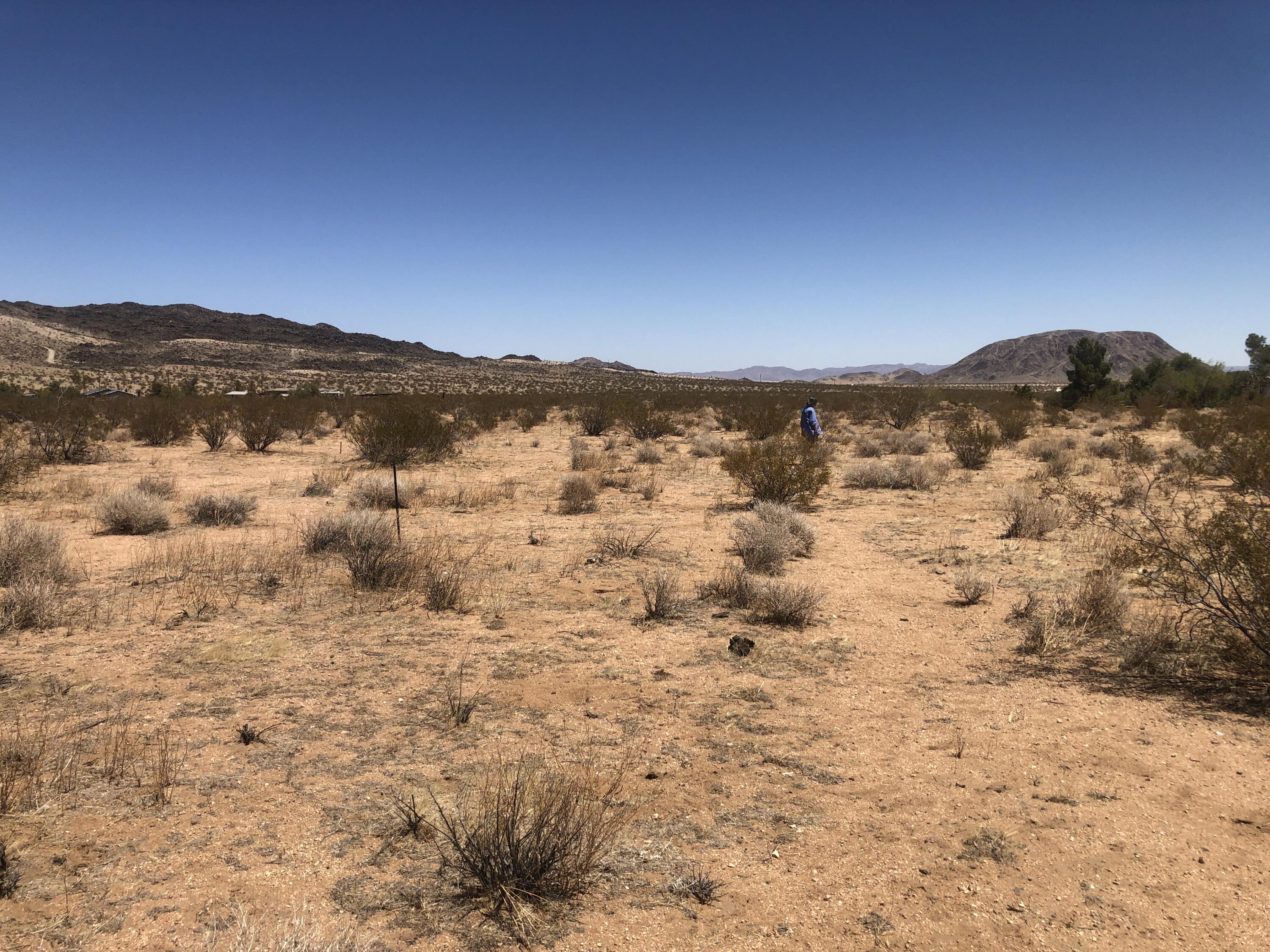 0 Lilac Lane Landers, CA 92285 - Photo 7 of 16 IMG_0428