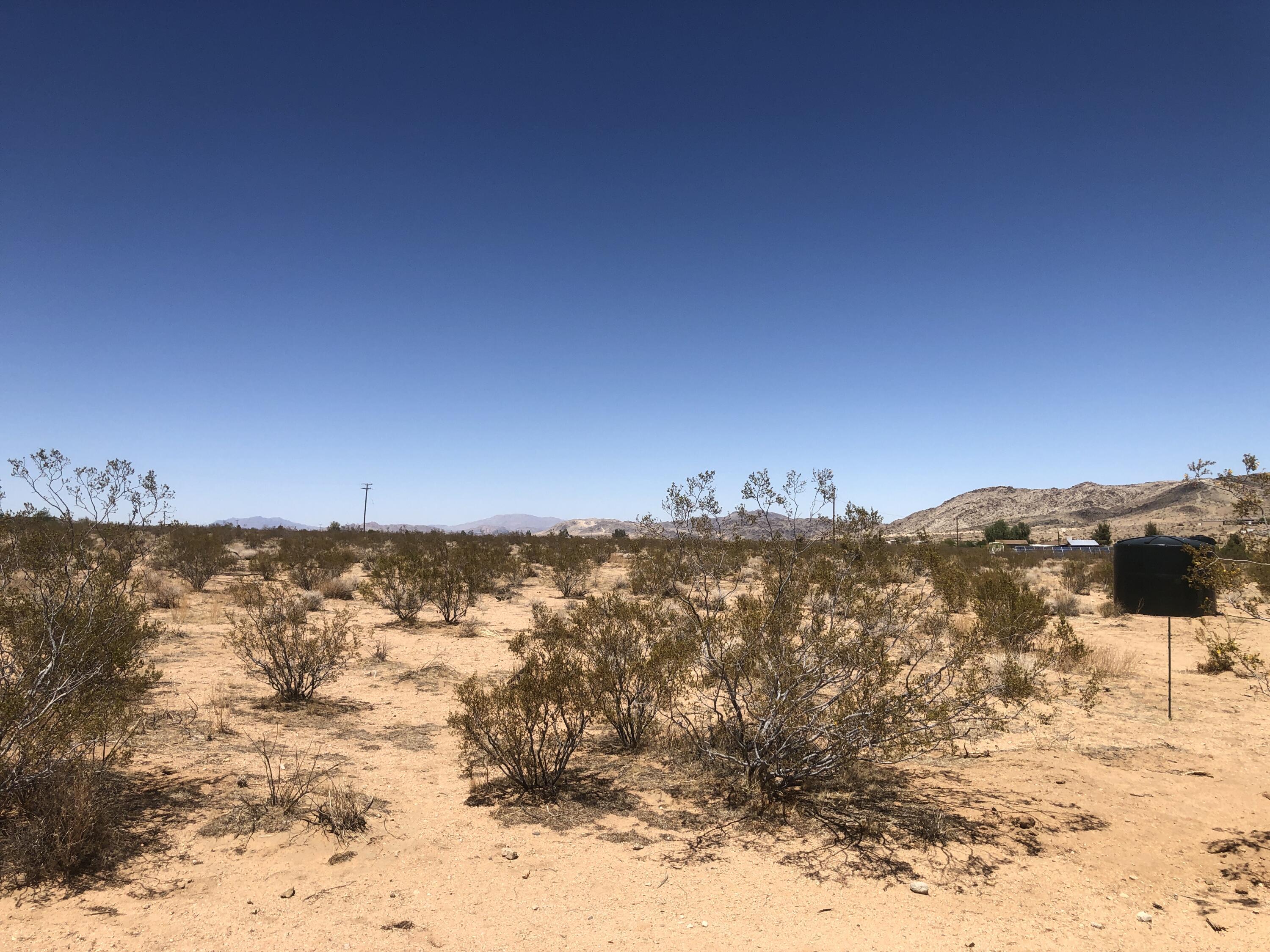 0 Lilac Lane Landers, CA 92285 - Photo 9 of 16 IMG_0435