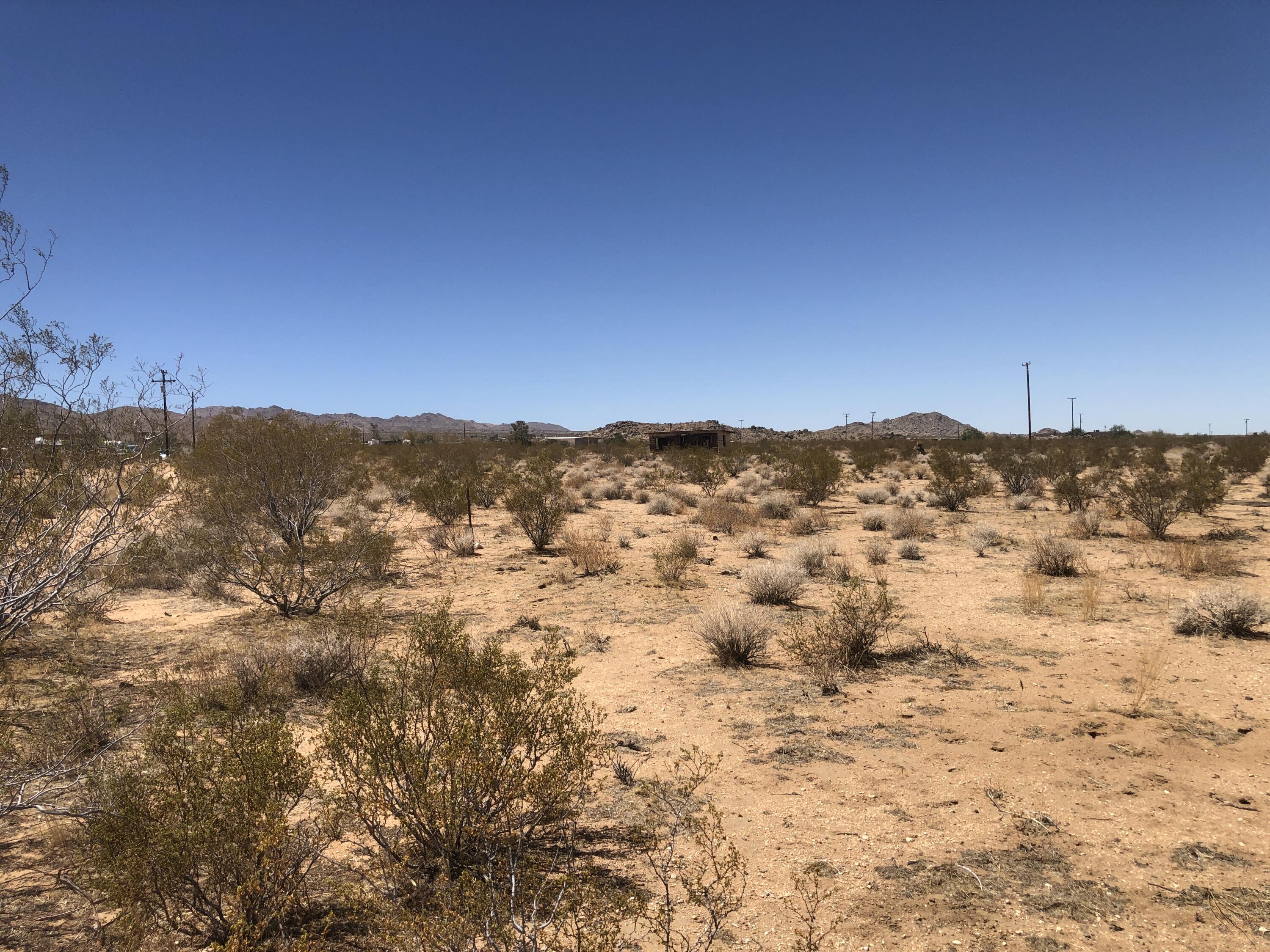 0 Lilac Lane Landers, CA 92285 - Photo 10 of 16 IMG_0439