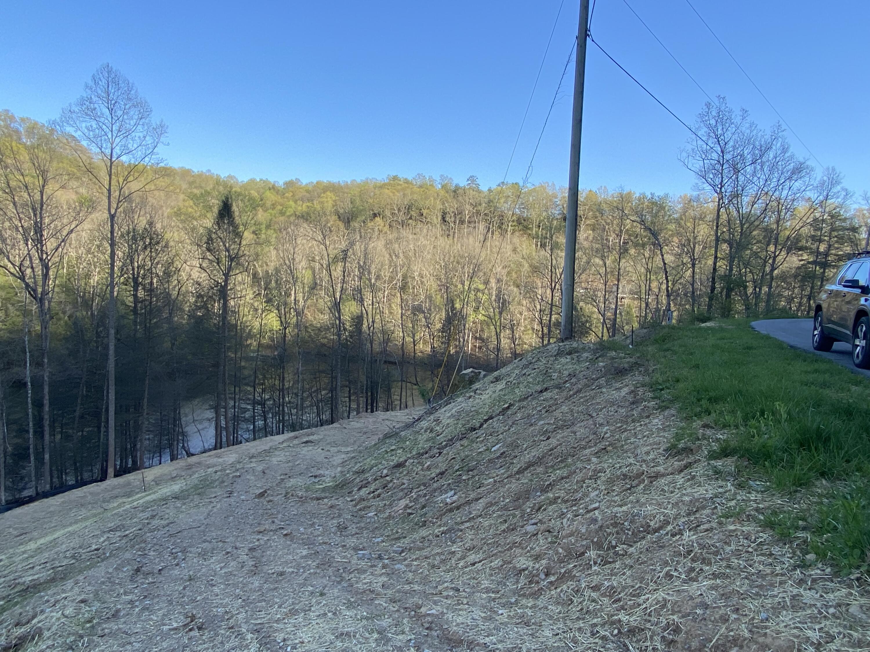 599 Cliffs Edge Road East Bernstadt, KY 40729 - Photo 8 of 10 IMG_4888
