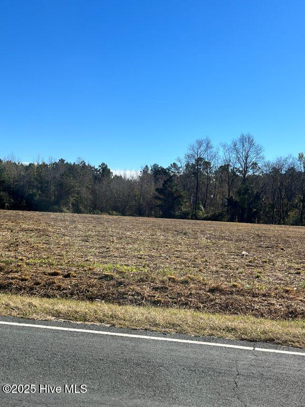 Lot 3 Wire Grass Road Lumberton, NC 28358 - Photo 7 of 8 IMG_3660