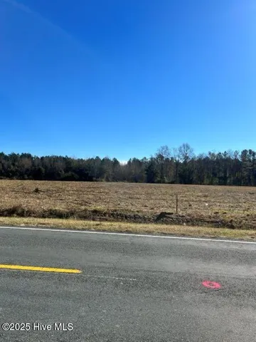 $49,900 | Lot 3 Wire Grass Road, Lumberton, NC 28358
