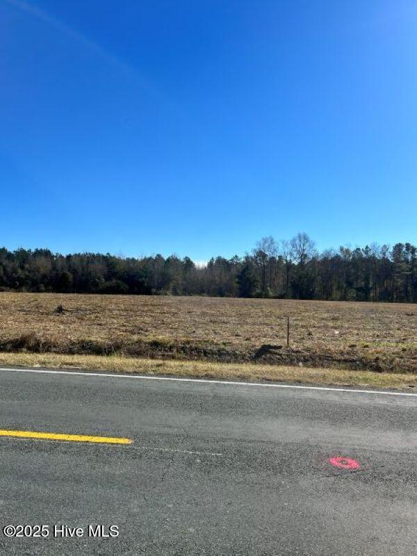 Lot 3 Wire Grass Road Lumberton, NC 28358 - Photo 8 of 8 IMG_3657