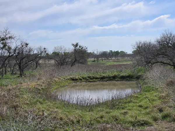 a view of a garden with trees