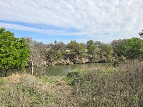 a view of a lush green space