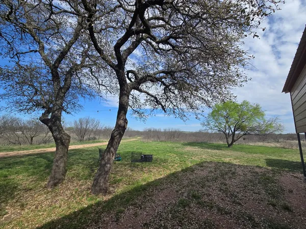 a big yard with lots of green space and plants