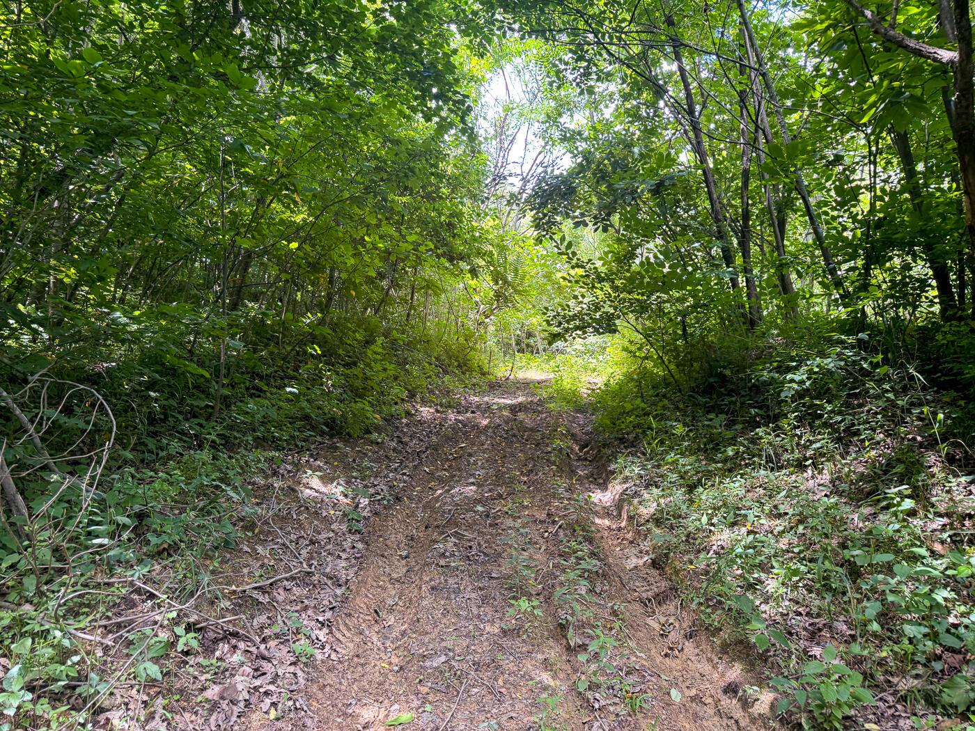 4313 Flint Ridge Road Northeast, Unit INT RIDGE TRACT 18 ACRE) Crooksville, OH 43731 - Photo 19 of 53 CT-19