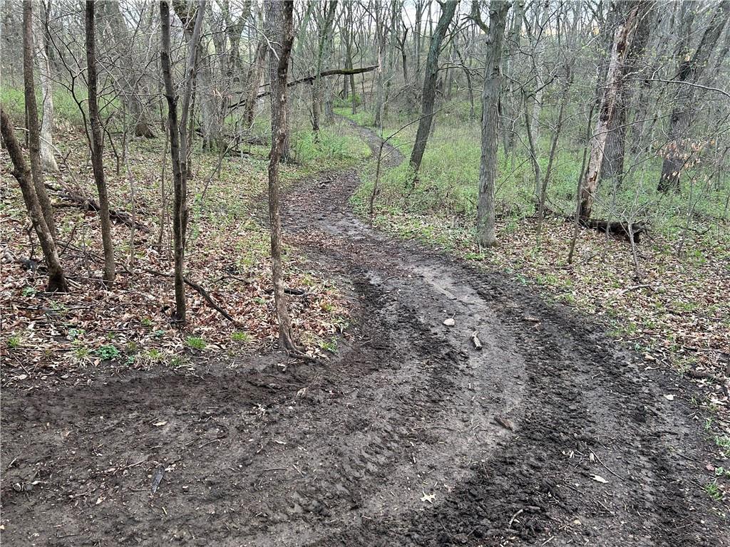 7451 State Route Rea, MO 64480 - Photo 79 of 83