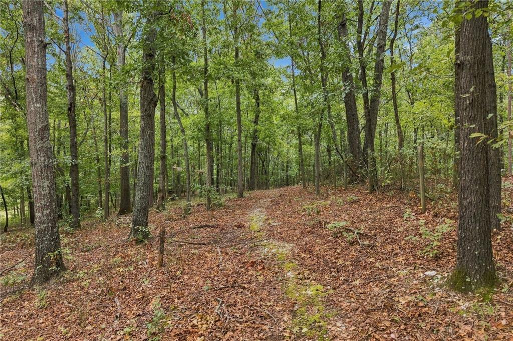 1639 Flowery Branch Road Hoschton, GA 30548 - Photo 58 of 66 Gallery Image 58