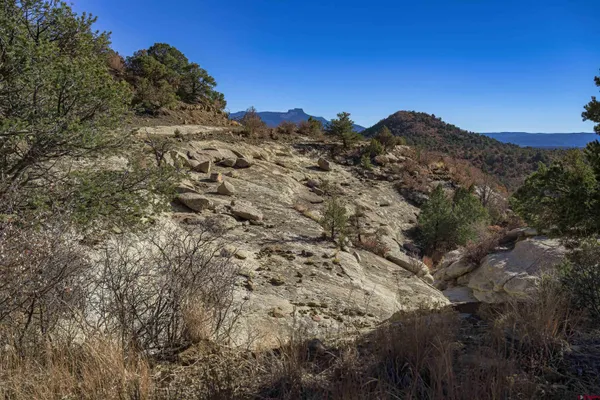 a view of a dry yard with mountains in the background