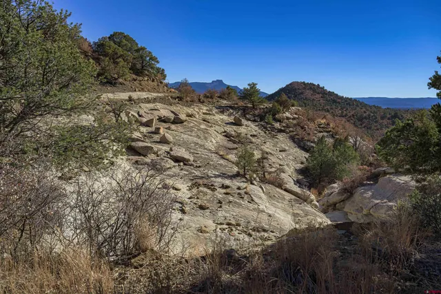 a view of a dry yard with mountains in the background