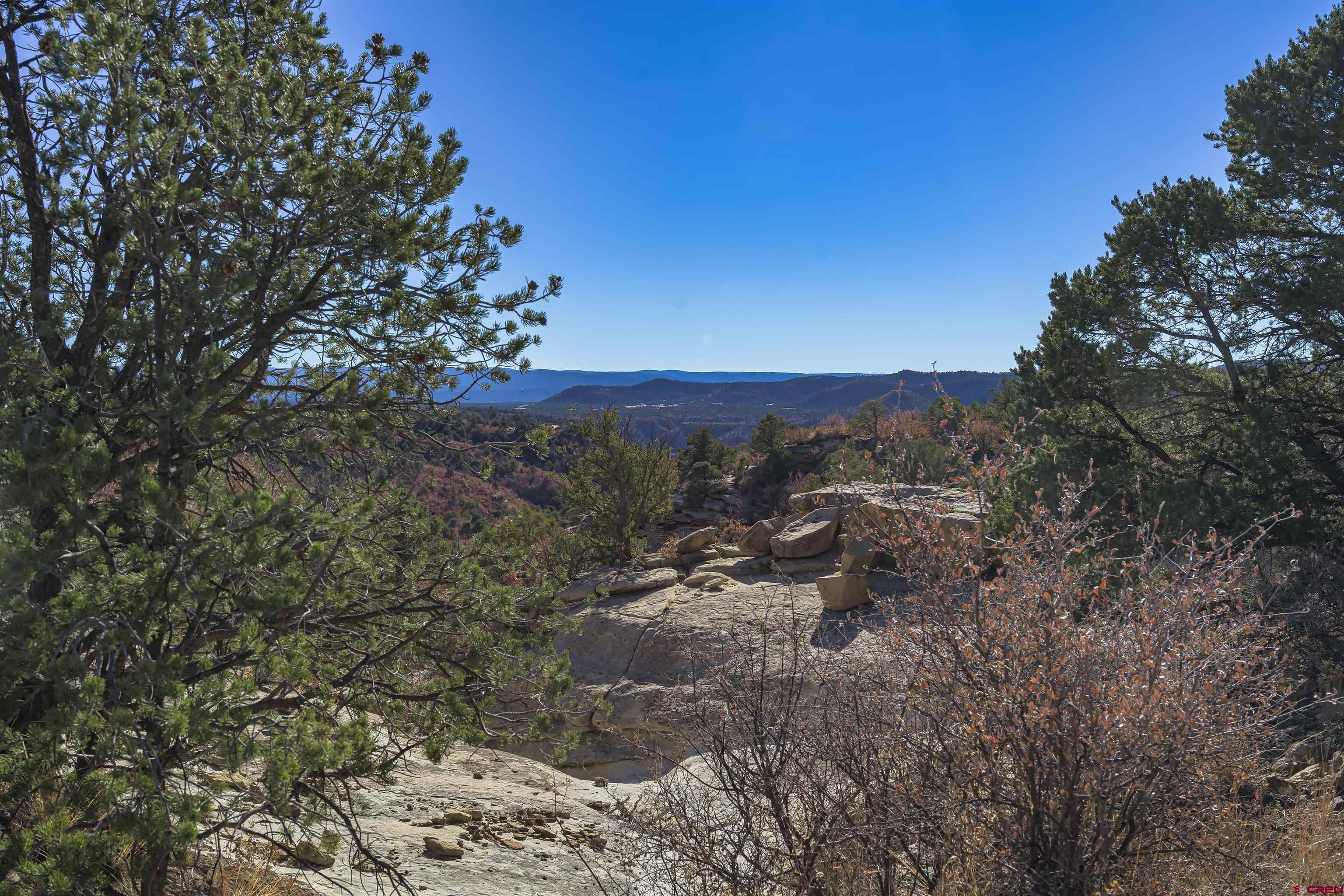 14633 Rancho Verde Road Trinidad, CO 81082 - Photo 16 of 38 a view of a forest with trees in the background