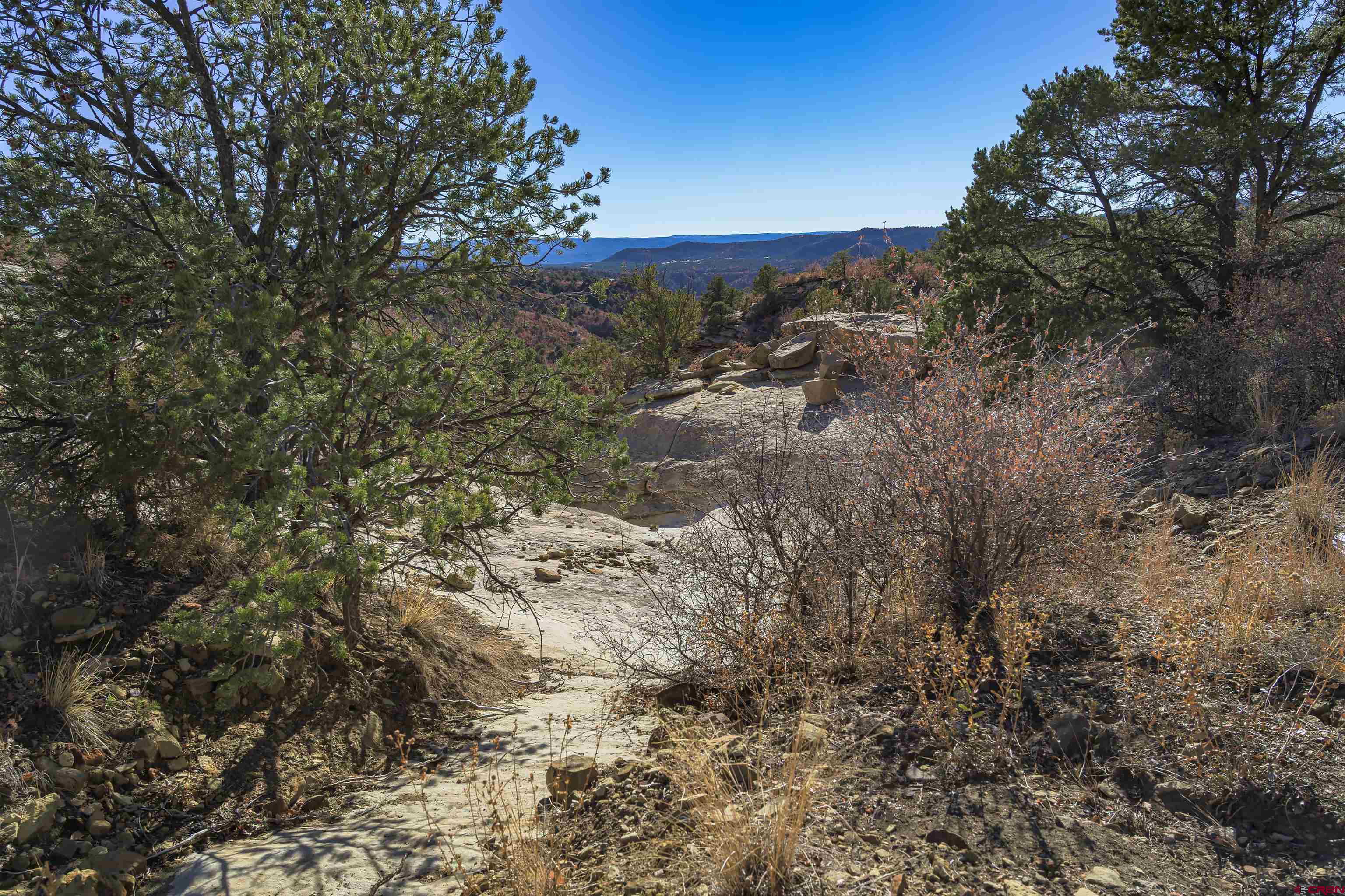 14633 Rancho Verde Road Trinidad, CO 81082 - Photo 17 of 38 a view of a yard with a tree