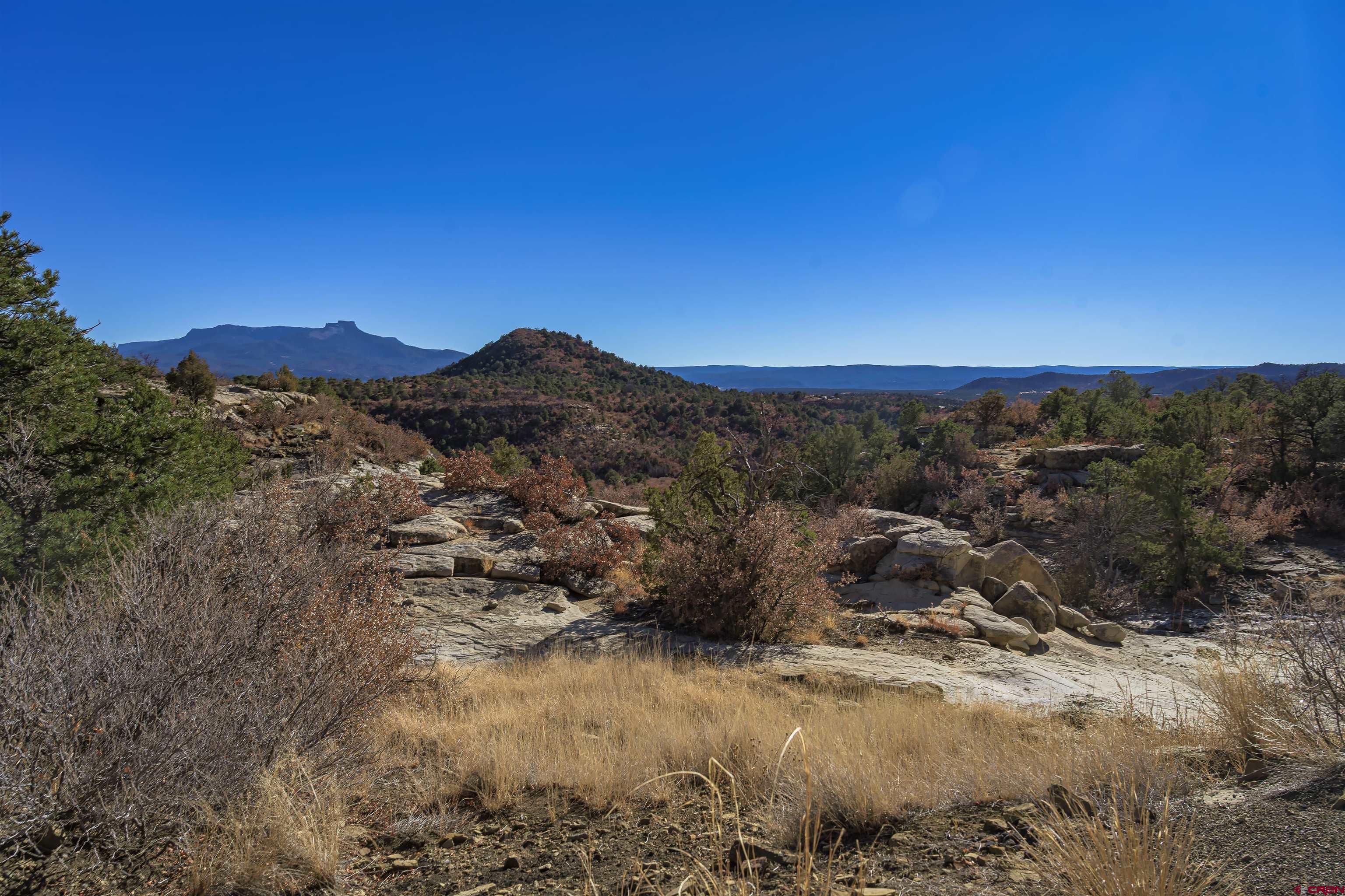 14633 Rancho Verde Road Trinidad, CO 81082 - Photo 19 of 38 a view of a dry yard with mountains in the background
