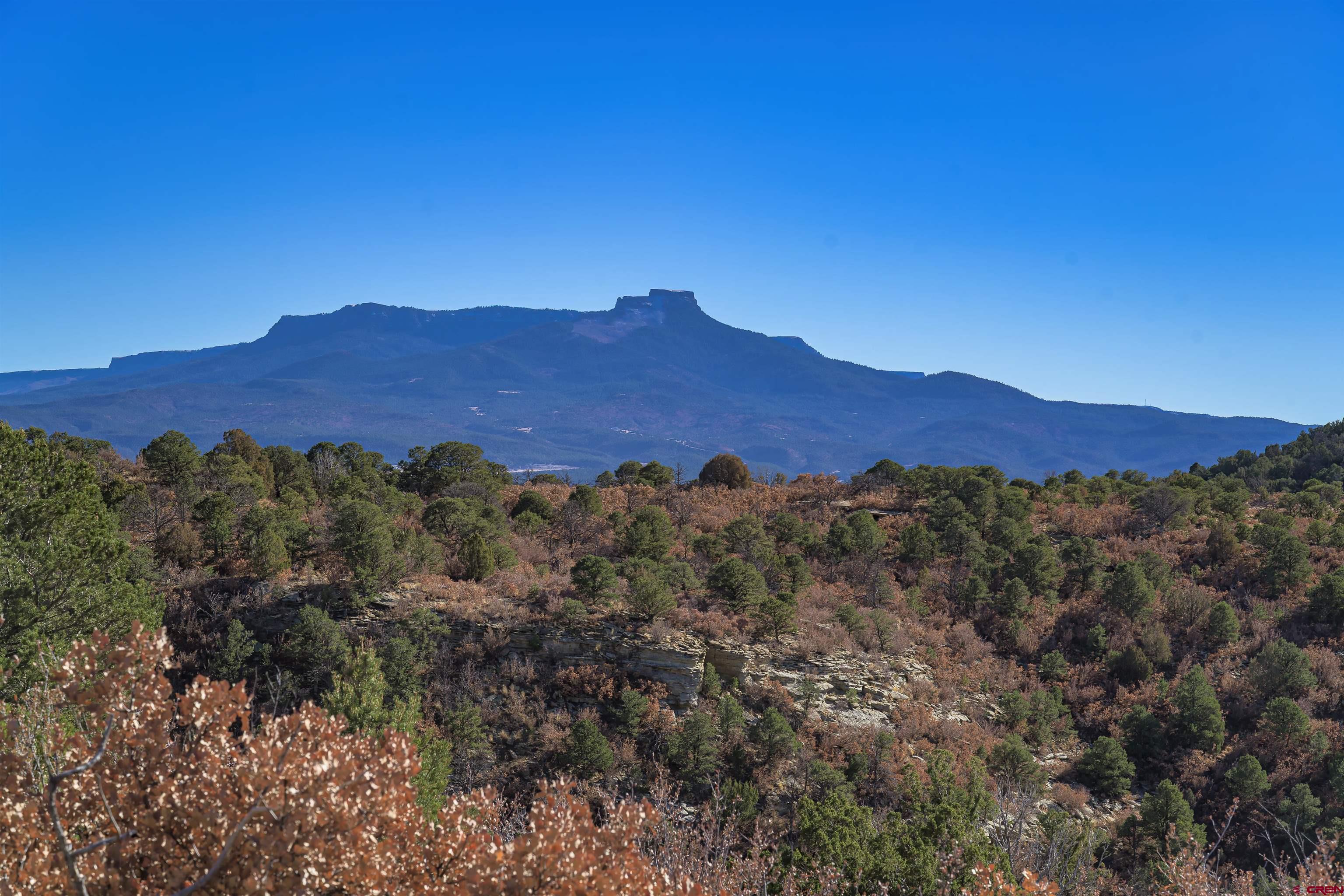 14633 Rancho Verde Road Trinidad, CO 81082 - Photo 2 of 38 a view of a lush green hillside and a houses