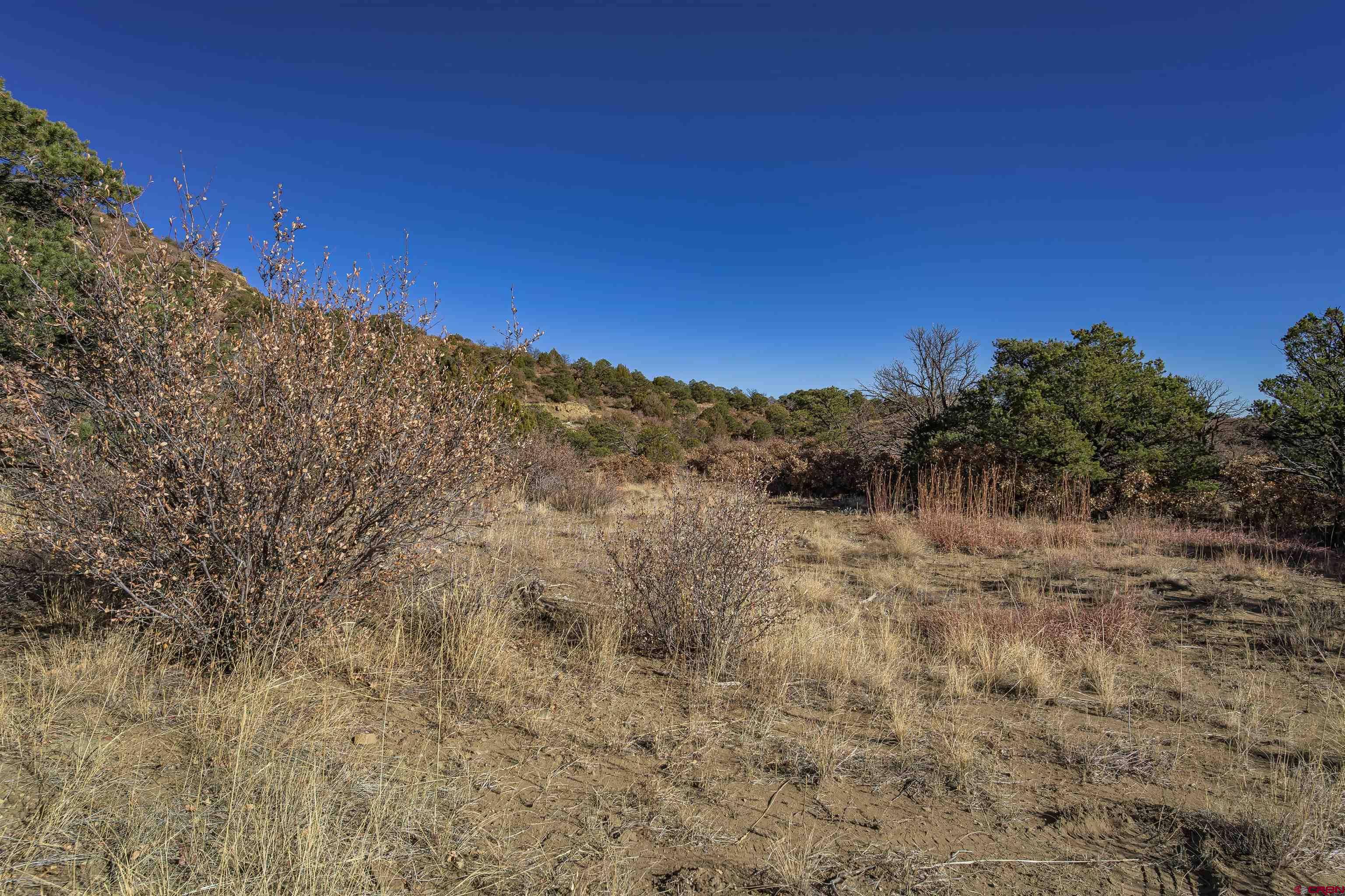 14633 Rancho Verde Road Trinidad, CO 81082 - Photo 21 of 38 a view of a dry yard with trees in the background
