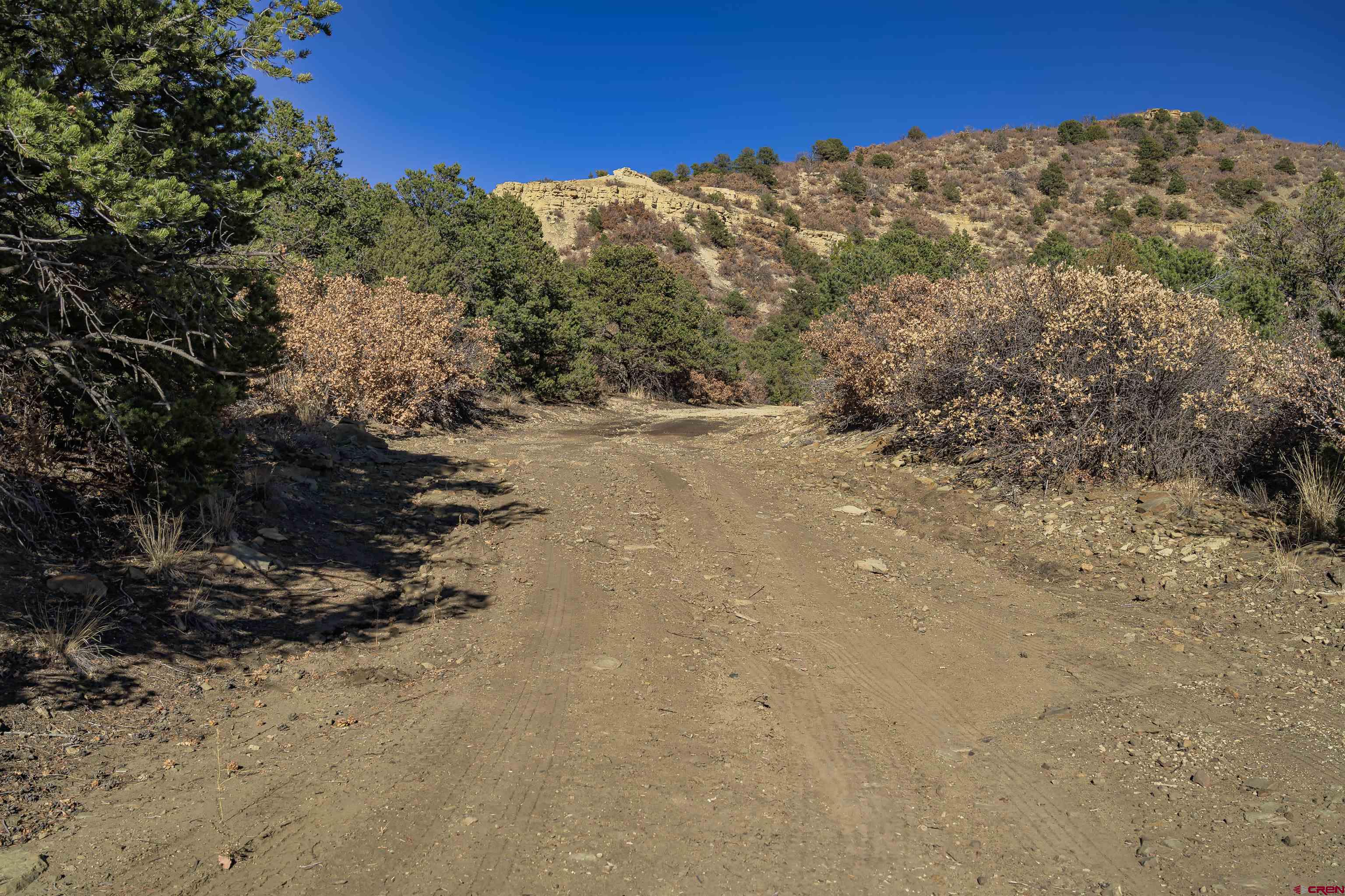 14633 Rancho Verde Road Trinidad, CO 81082 - Photo 22 of 38 a view of a field with trees in the background