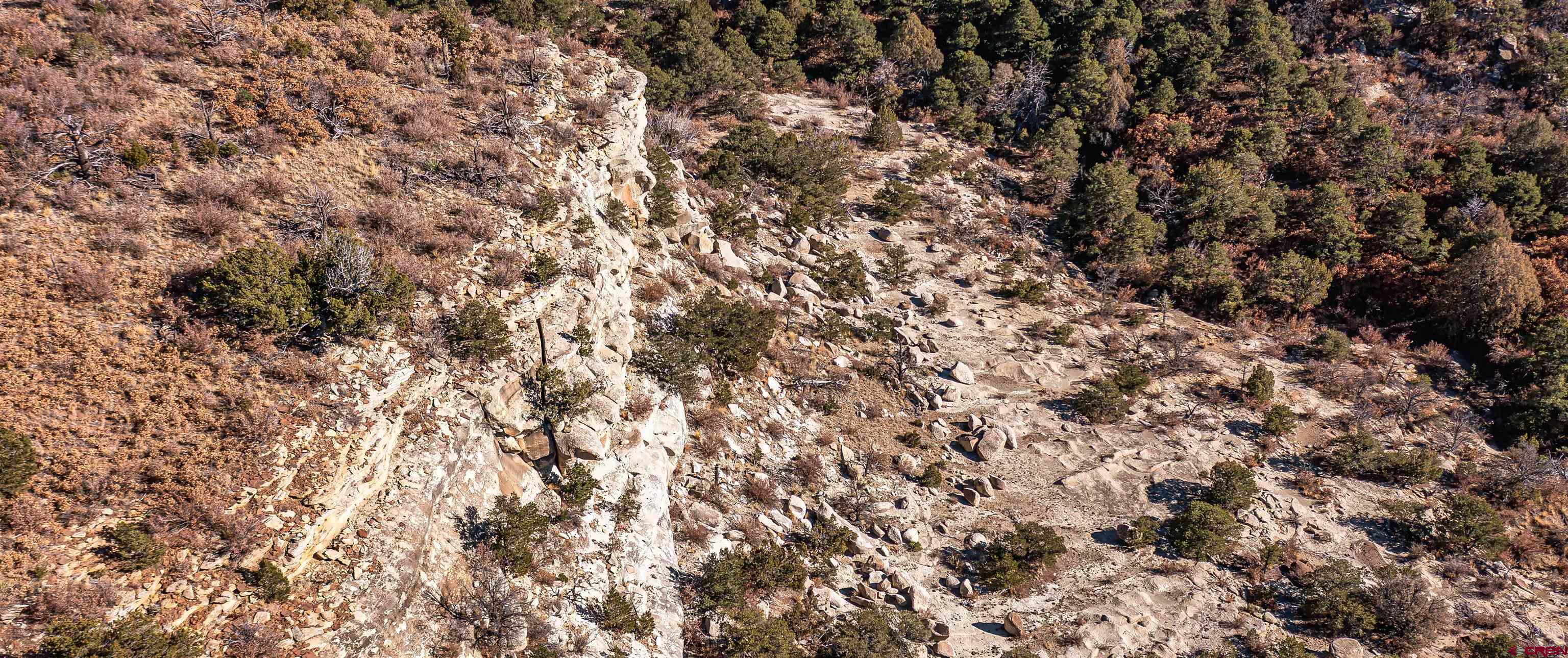 14633 Rancho Verde Road Trinidad, CO 81082 - Photo 28 of 38 a view of a yard
