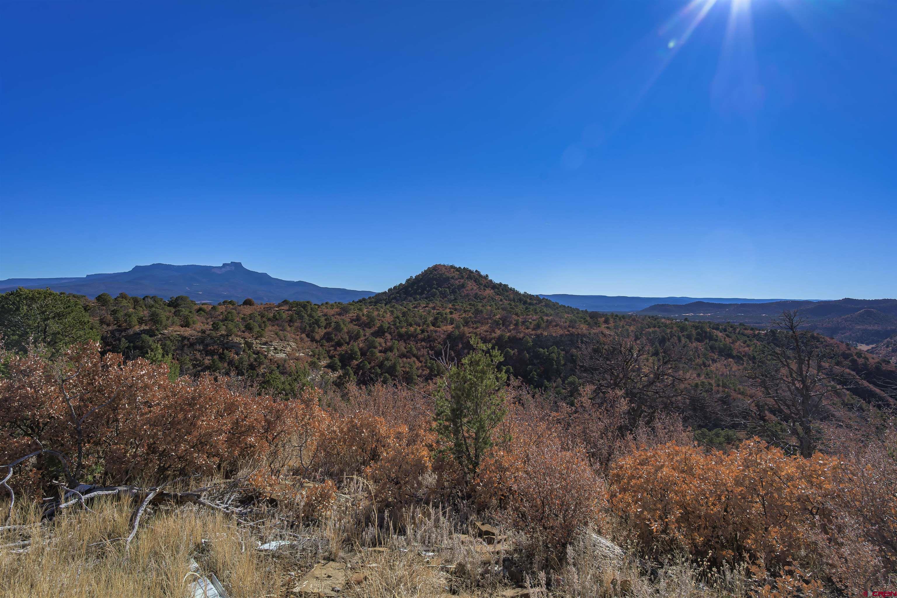 14633 Rancho Verde Road Trinidad, CO 81082 - Photo 3 of 38 a view of a city with lush green forest