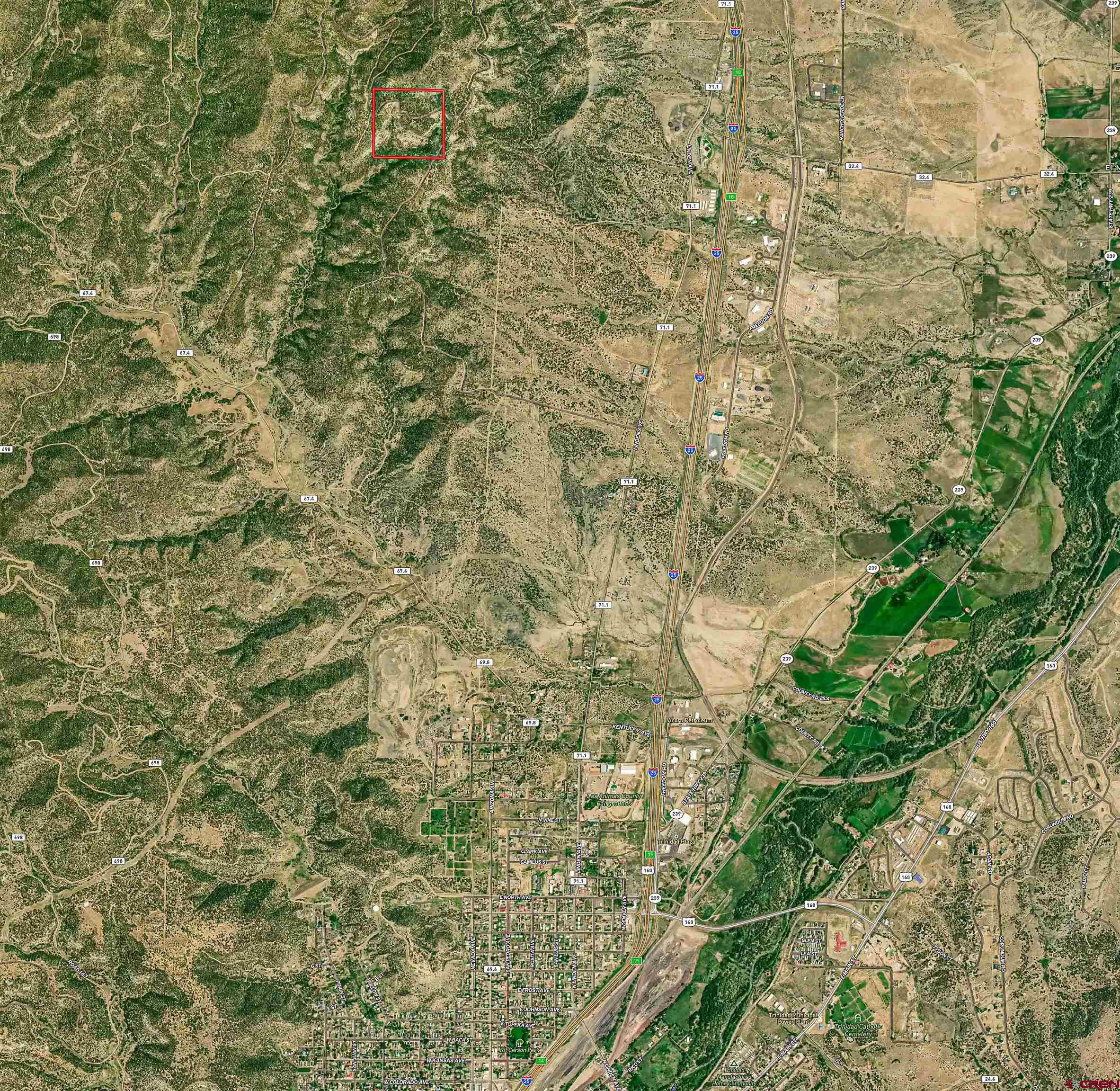 14633 Rancho Verde Road Trinidad, CO 81082 - Photo 38 of 38 a close up of a plant