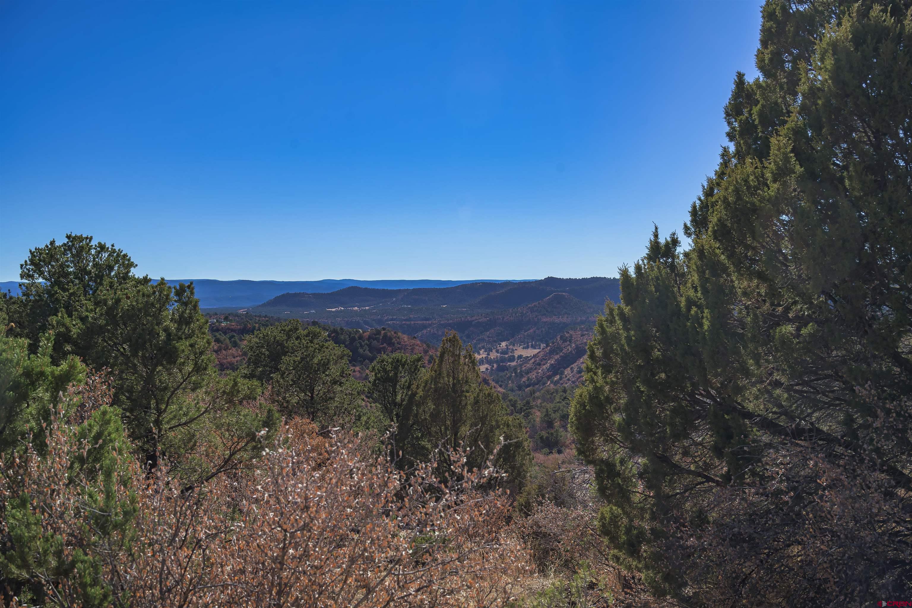 14633 Rancho Verde Road Trinidad, CO 81082 - Photo 5 of 38 a view of a forest with a mountain in the background