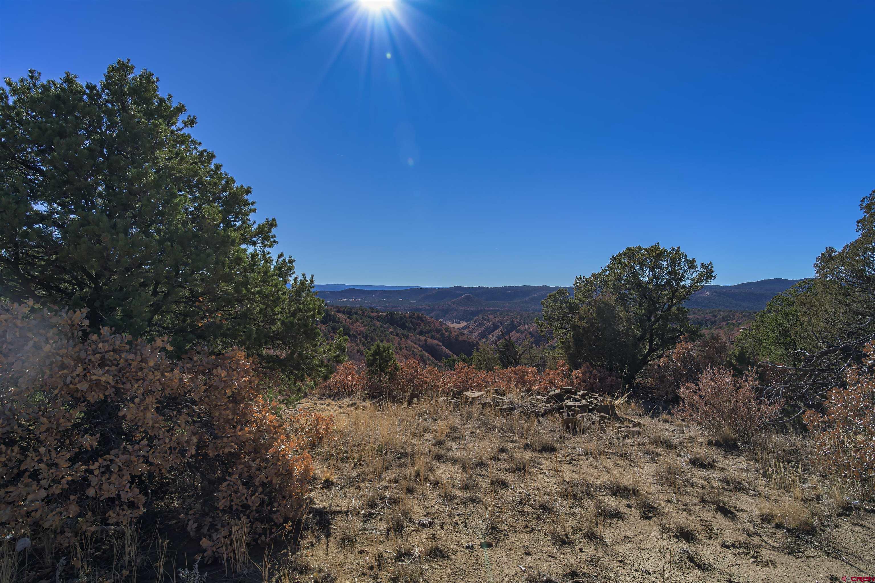 14633 Rancho Verde Road Trinidad, CO 81082 - Photo 7 of 38 a view of a dry yard with trees in the background