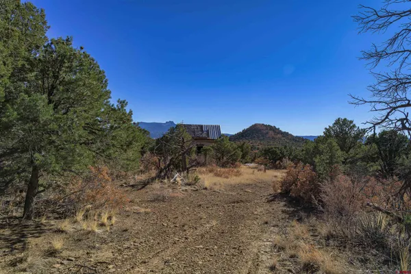 a view of a dry yard with mountains in the background