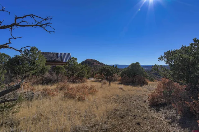 a view of a dry yard with mountains in the background