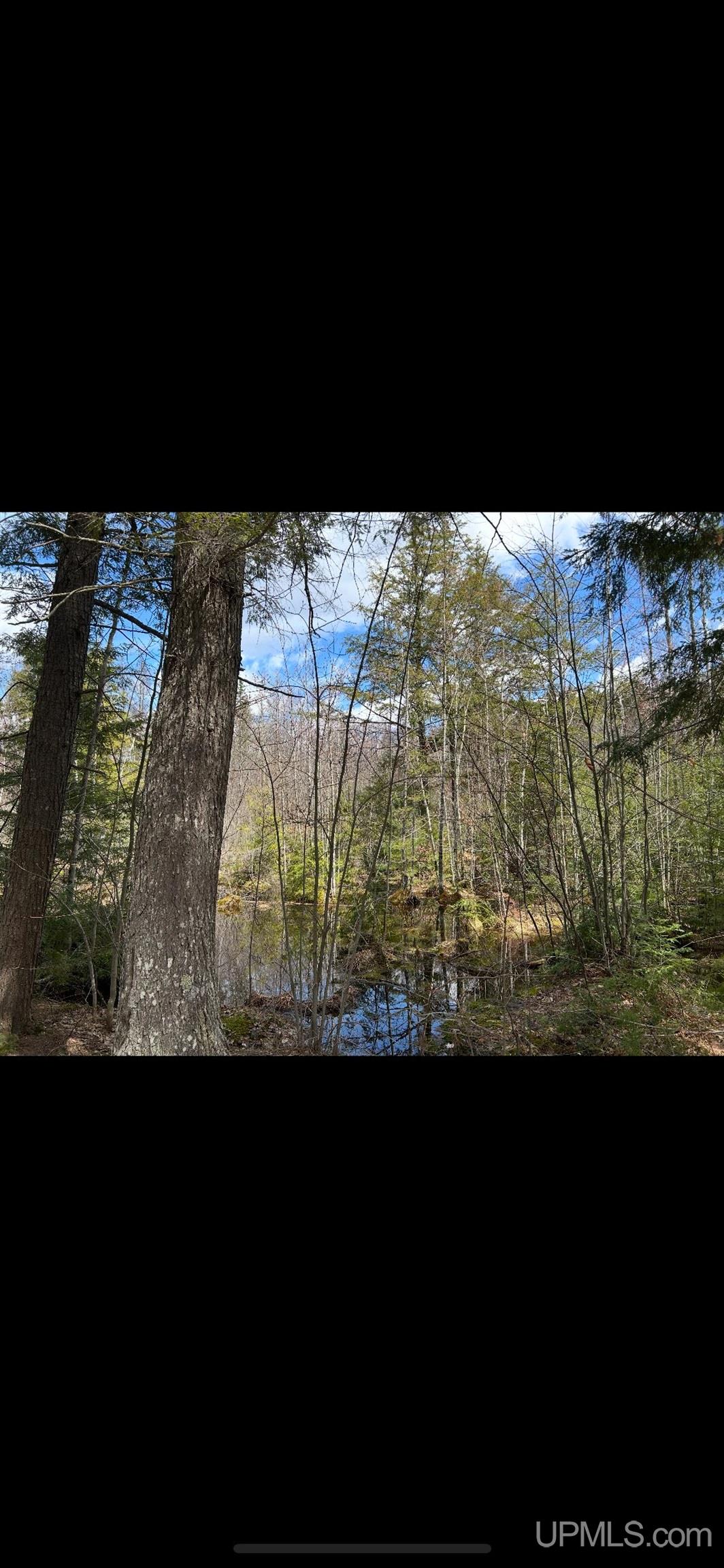 12451 15.5 Road Wetmore, MI 49878 - Photo 29 of 30