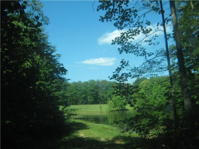 0 Pigeon Point Road Tracy City, TN 37387 - Photo 3 of 5 Gallery Image 3