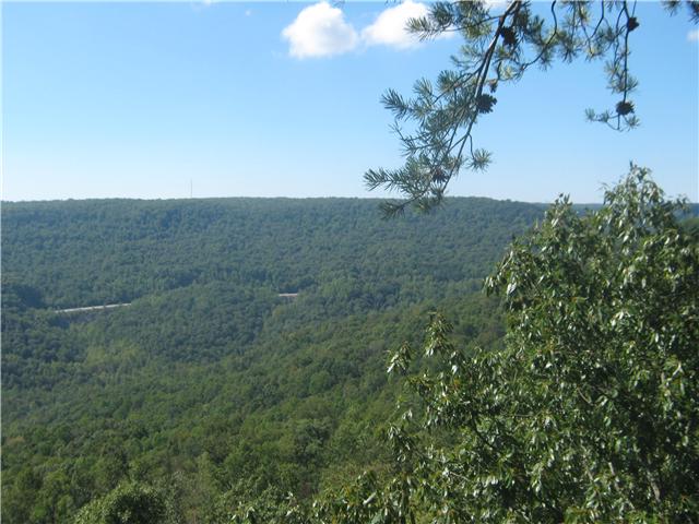0 Pigeon Point Road Tracy City, TN 37387 - Photo 4 of 5 Gallery Image 4