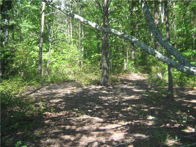 0 Pigeon Point Road Tracy City, TN 37387 - Photo 5 of 5 Gallery Image 5