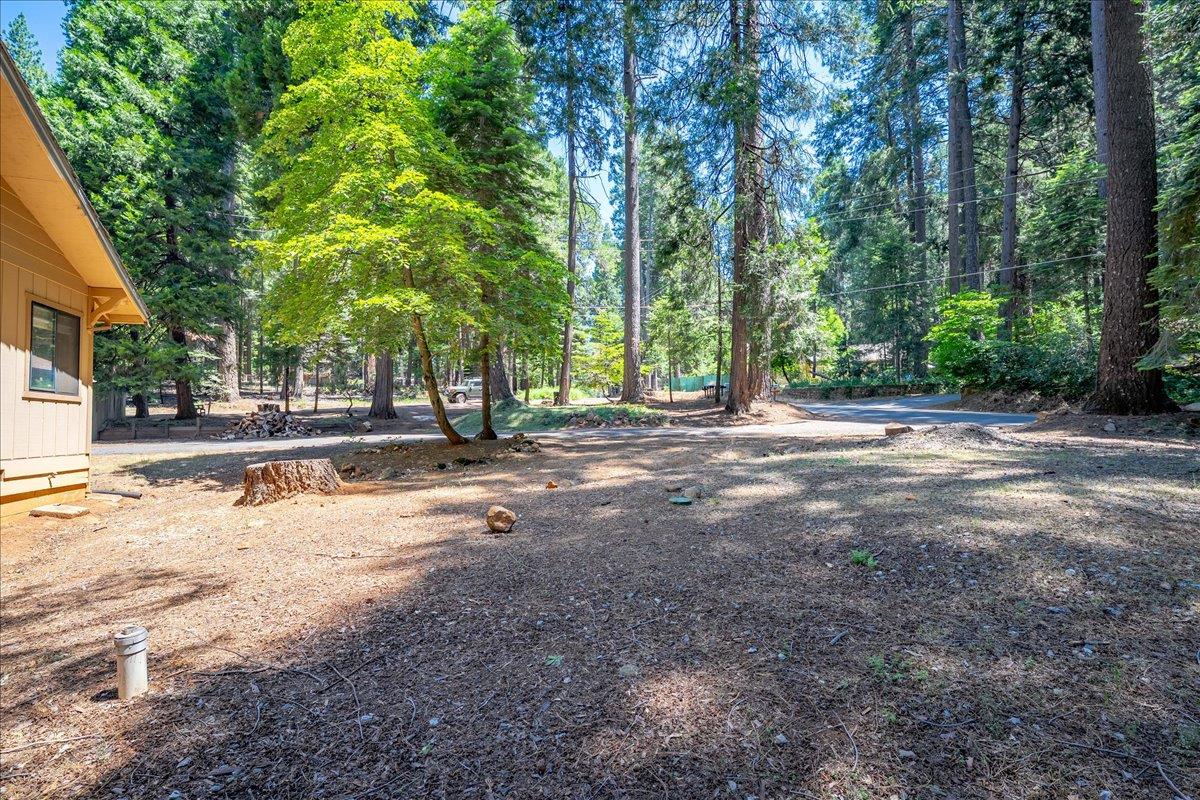 2226 Blair Road Pollock Pines, CA 95726 - Photo 6 of 58