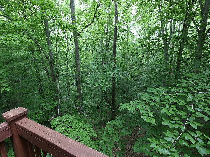 8600 Valley Brook Drive Raleigh, NC 27613 - Photo 9 of 25 View from deck off kitchen - great space to have that morning coffee. Extensive Decks