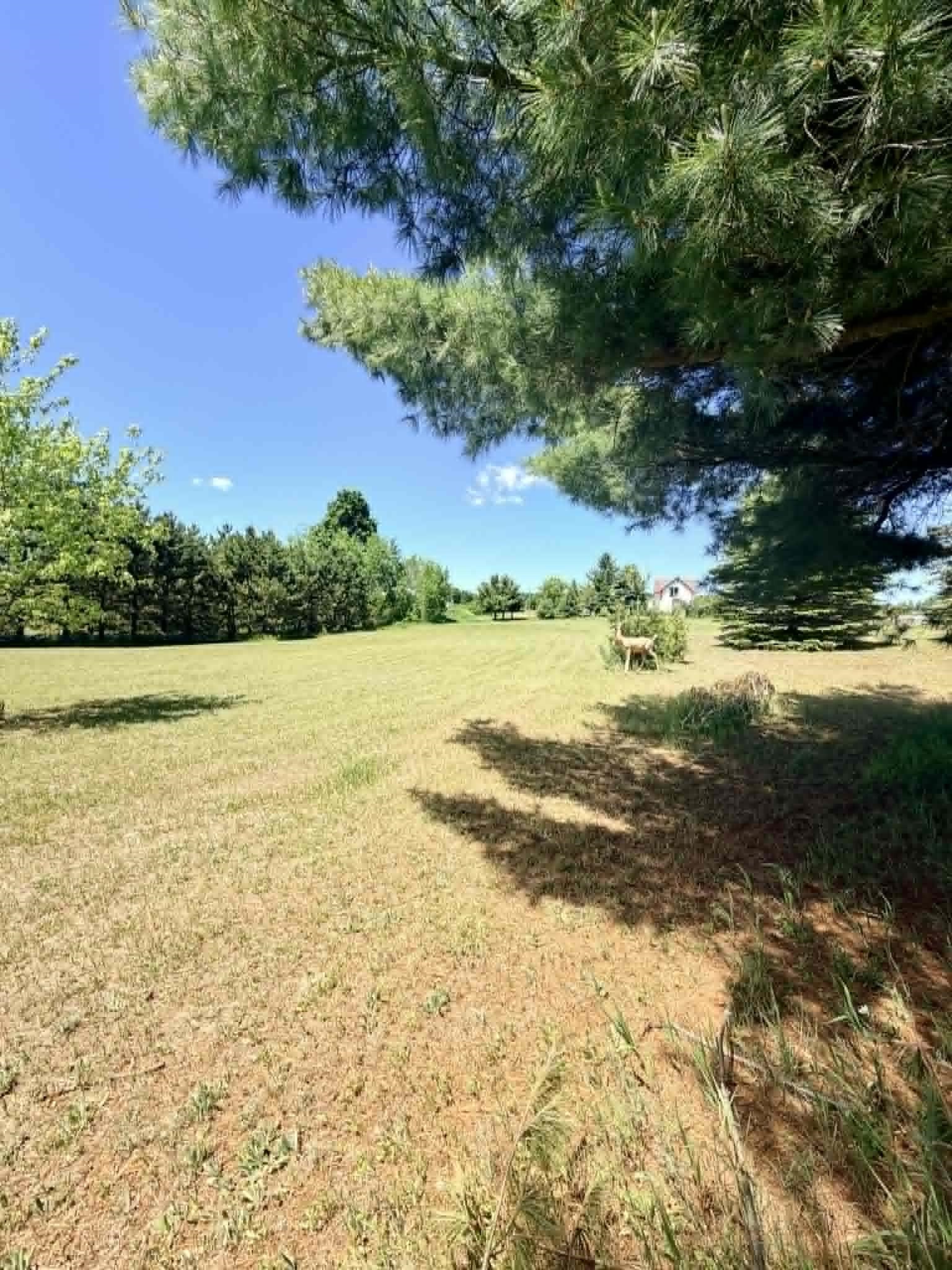 196 East Center Road Kingsley, MI 49649 - Photo 49 of 68