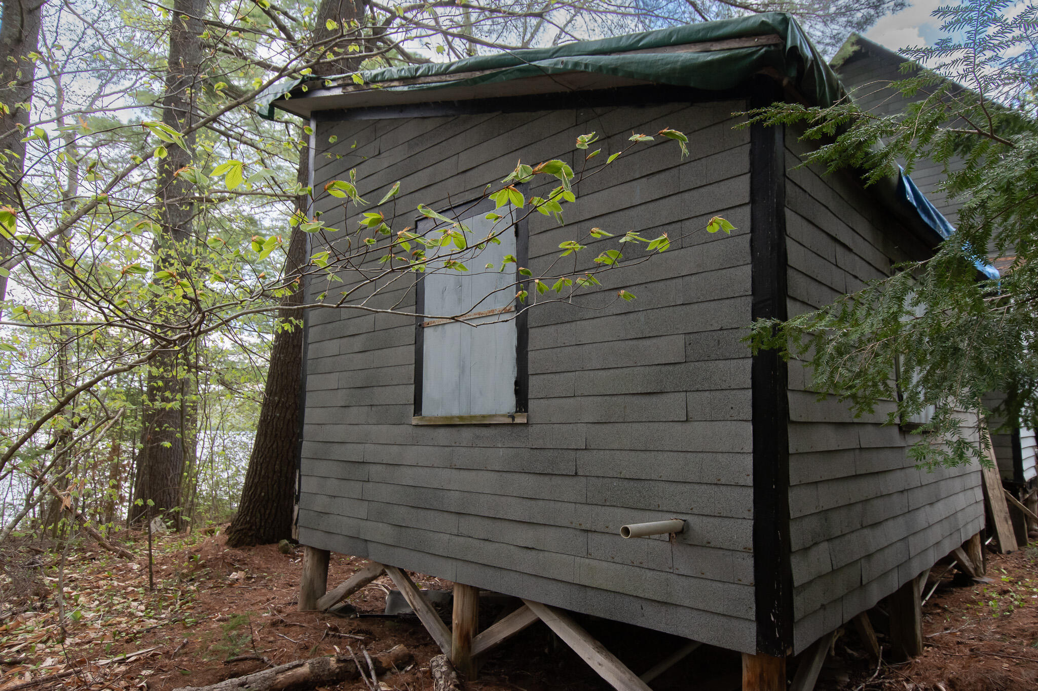 118 Camp Comfort Road Monson, ME 04464 - Photo 7 of 46 DSC_1284