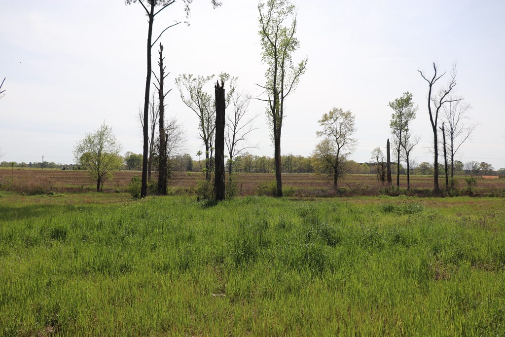 2154 J East Saunders Road Dothan, AL 36301 - Photo 9 of 15