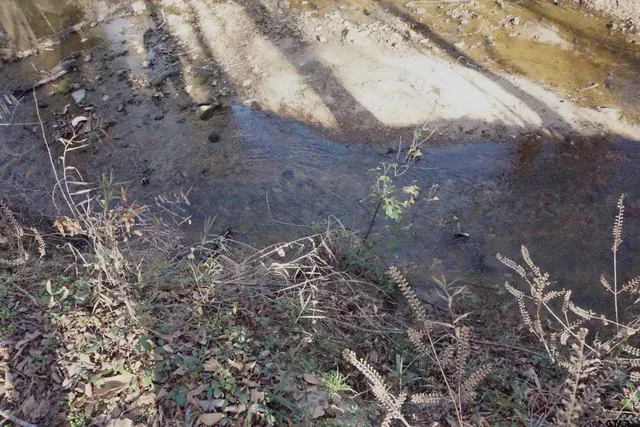 $400,000 | 852 St Gilmer Tx 75644, Winona, TX 75792