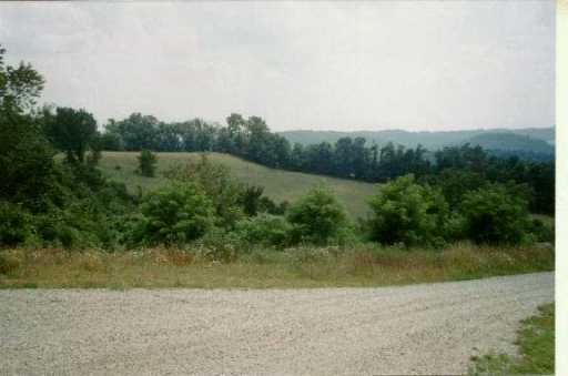 164 Browns Road Jefferson, PA 15344 - Photo 6 of 8