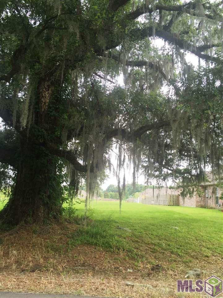 B Bluff Road Geismar, LA 70734 - Photo 1 of 1 Gallery Image 1